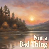 Not A Bad Thing - Full Cover cover